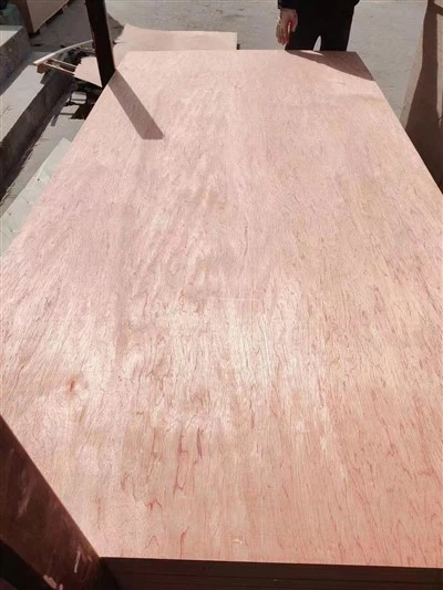 Madera contrachapada de roble blanco/ rojo